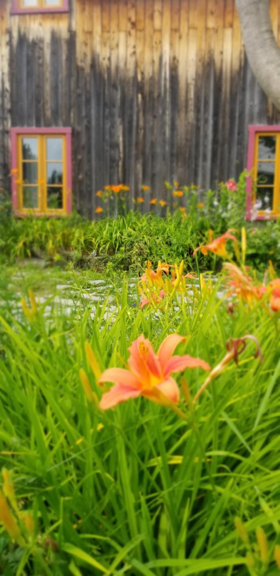 Auberge Le P'Tit Bonheur Saint-Laurent-de-l'ile d'Orleans Kültér fotó